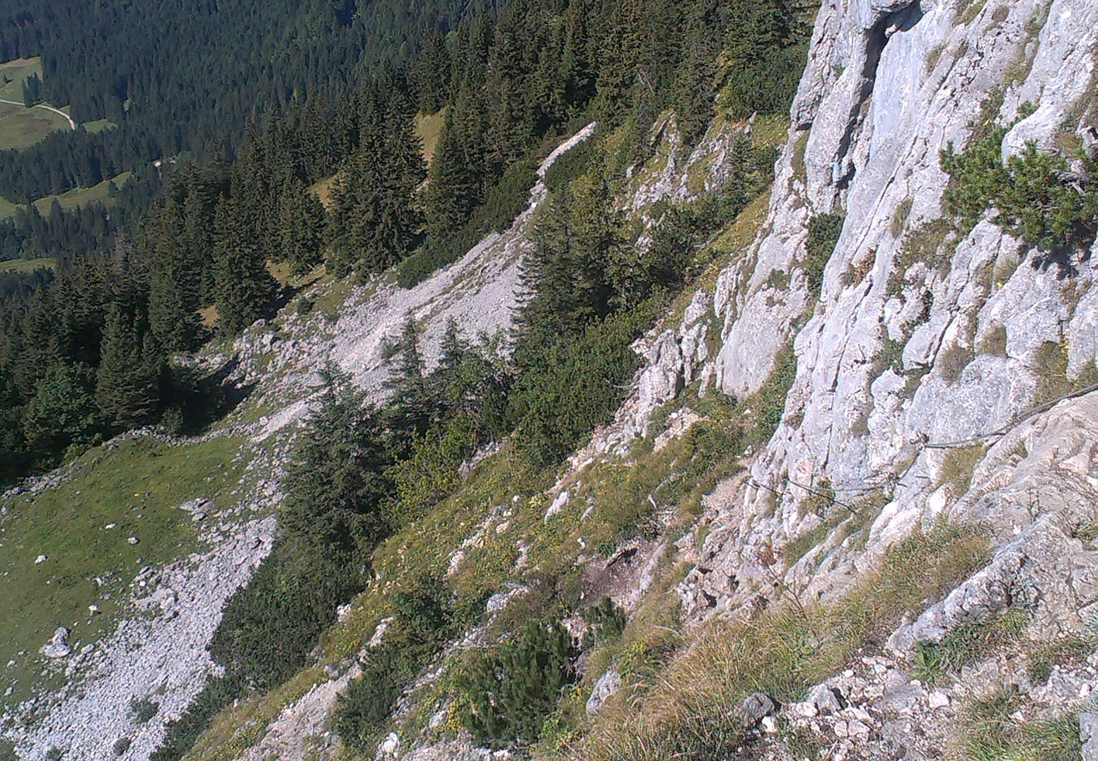 IMAG0929 (2)
