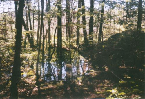 solounterwegsnewhampshire5