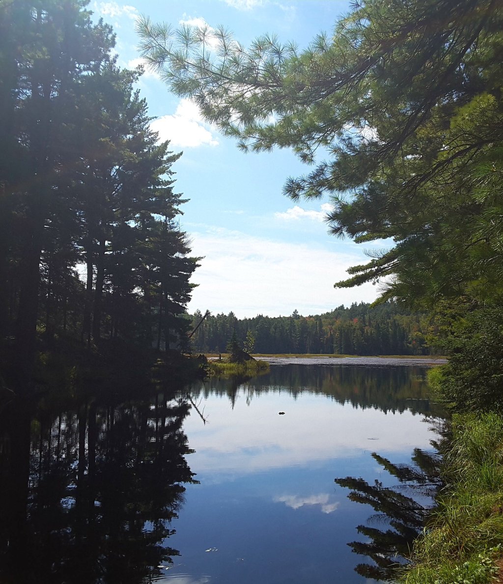 Lake of Bays: Beachlife und ganz viel&nbsp;Natur