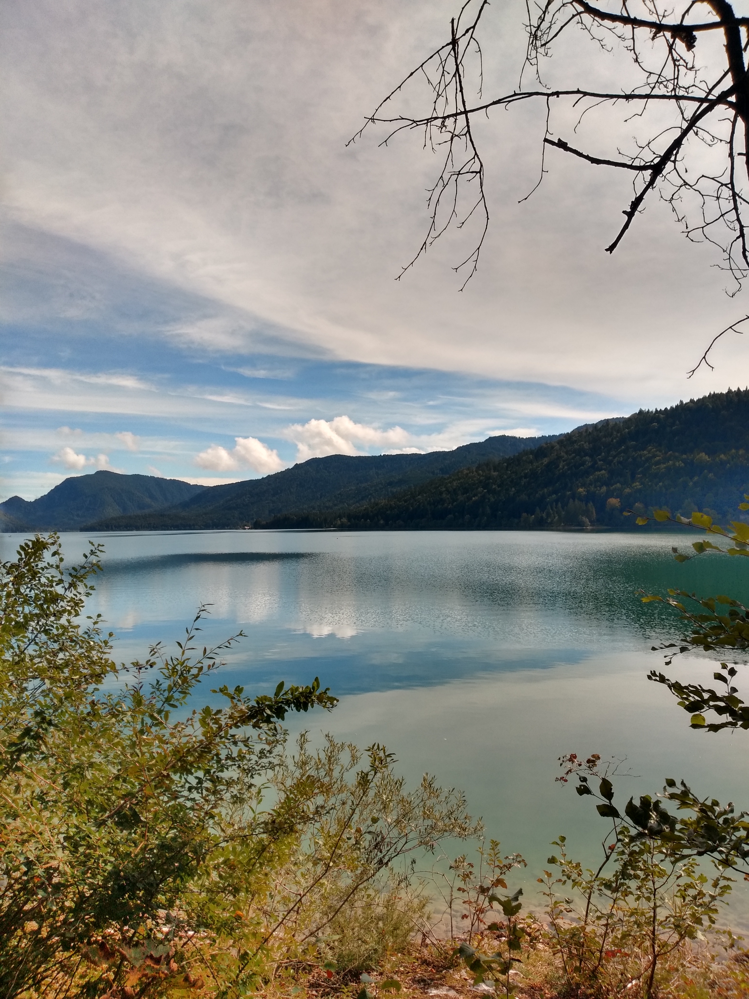 IMG_20190924_121708498_HDR.jpg