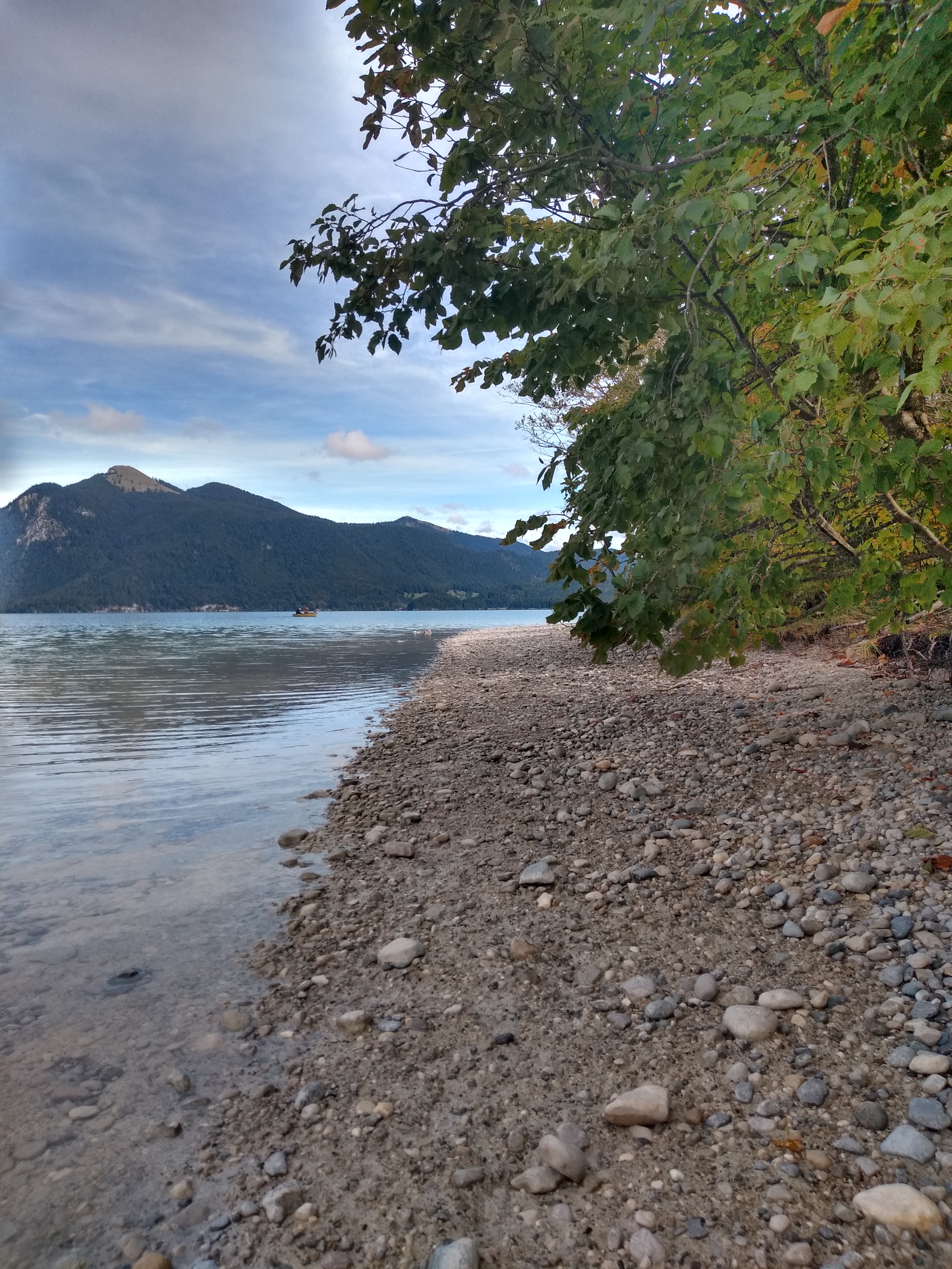 IMG_20190924_124020805_HDR.jpg