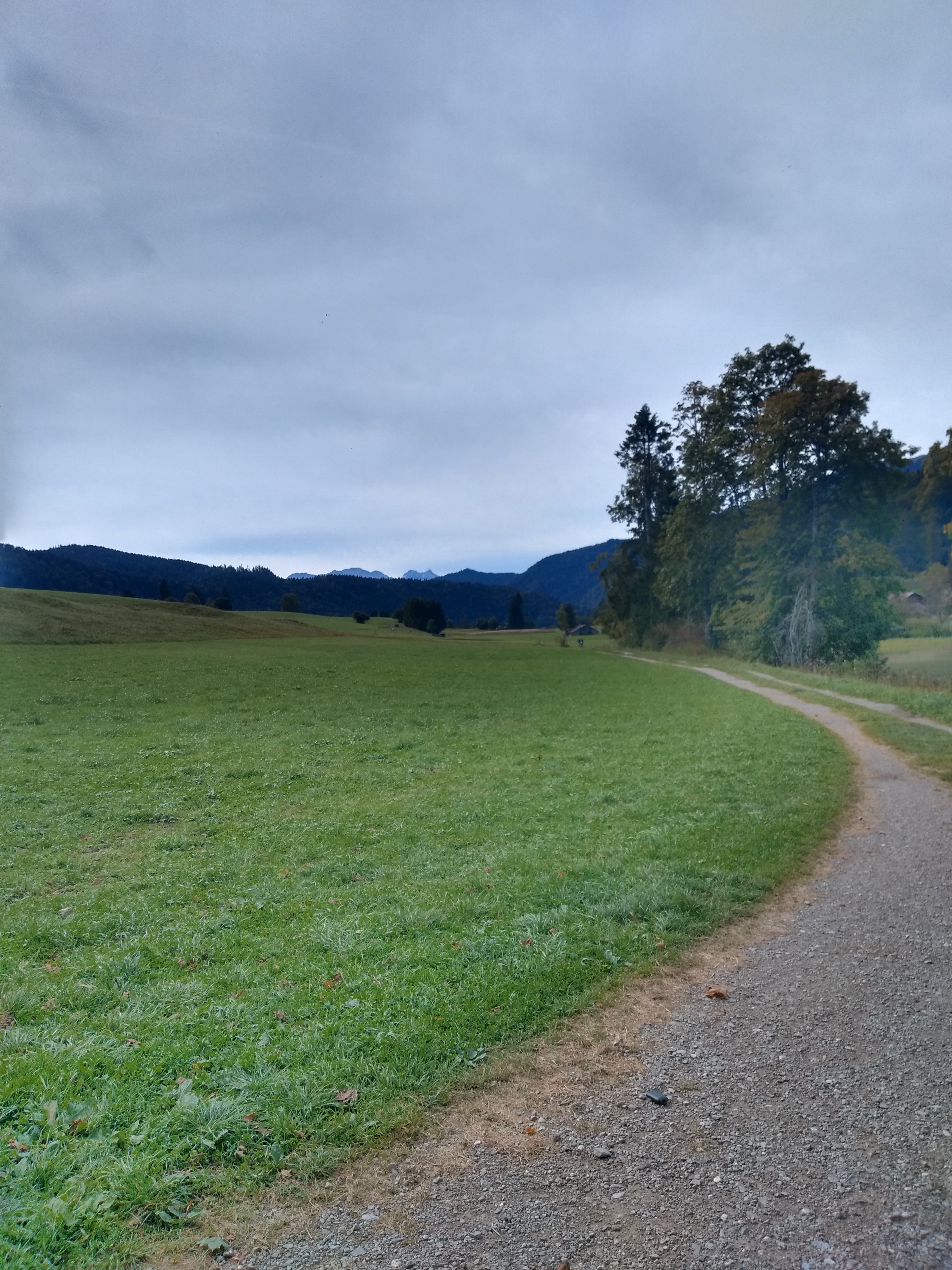 IMG_20190924_124443117_HDR.jpg