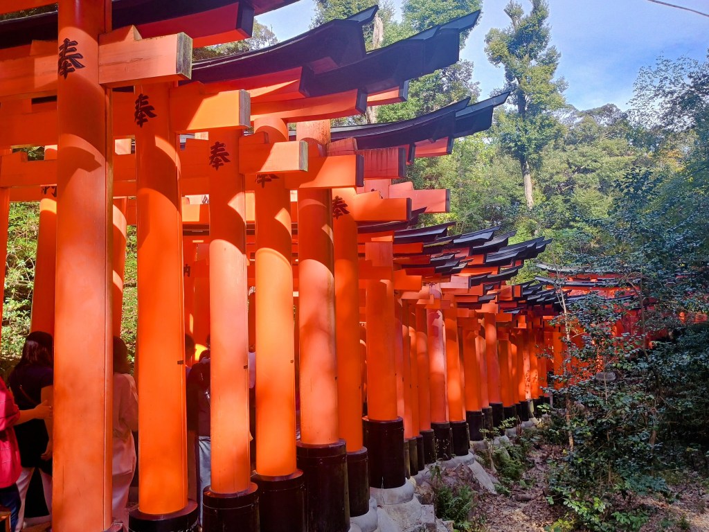 Spaziergang durch Kyoto, Nara und Fushimi-Inari-Schrein